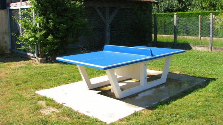 Table de ping-pong Coloris Bleu